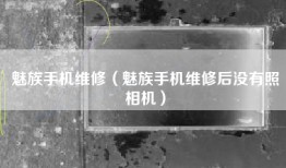 魅族手机维修（魅族手机维修后没有照相机）