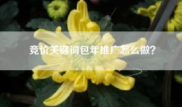 竞价关键词包年推广怎么做？