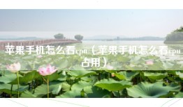 苹果手机怎么看cpu（苹果手机怎么看cpu占用）