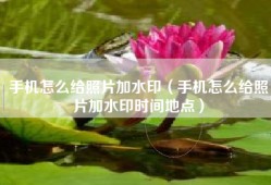 手机怎么给照片加水印（手机怎么给照片加水印时间地点）