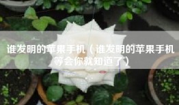 谁发明的苹果手机（谁发明的苹果手机等会你就知道了）