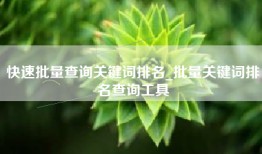 快速批量查询关键词排名_批量关键词排名查询工具