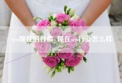 seo现在的行情_现在seo行业怎么样