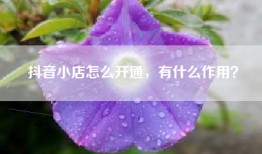 抖音小店怎么开通，有什么作用？
