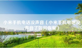 小米手机电话没声音（小米手机电话没声音了如何恢复）