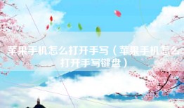 苹果手机怎么打开手写（苹果手机怎么打开手写键盘）
