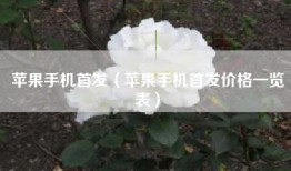 苹果手机首发（苹果手机首发价格一览表）