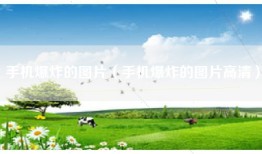 手机爆炸的图片（手机爆炸的图片高清）