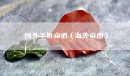 国外手机桌面（海外桌面）