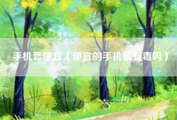 手机套便宜（便宜的手机套有毒吗）