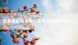 诺基亚彩屏手机（诺基亚彩屏手机3100）