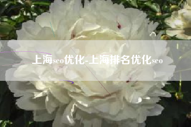 上海seo优化-上海排名优化seo