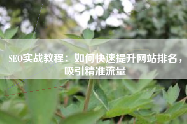 SEO实战教程：如何快速提升网站排名，吸引精准流量