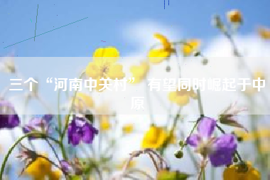 三个“河南中关村” 有望同时崛起于中原