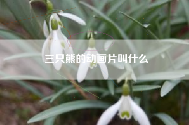 三只熊的动画片叫什么
