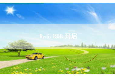 Redis RDB 开启