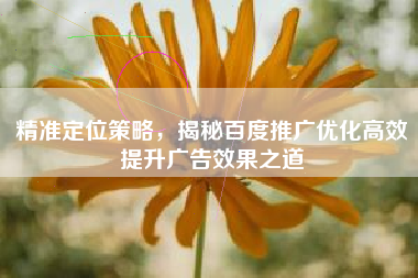 精准定位策略，揭秘百度推广优化高效提升广告效果之道