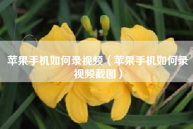 苹果手机如何录视频（苹果手机如何录视频截图）