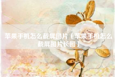 苹果手机怎么截屏图片（苹果手机怎么截屏图片长图）