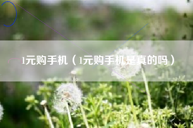 1元购手机（1元购手机是真的吗）