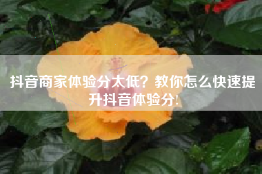 抖音商家体验分太低？教你怎么快速提升抖音体验分!