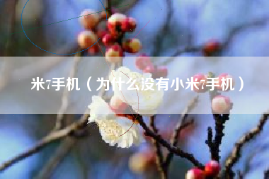 米7手机（为什么没有小米7手机）