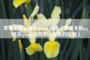 苹果手机qq显示iphone在线（苹果手机qq显示iphone在线和5g在线的区别）