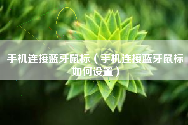 手机连接蓝牙鼠标（手机连接蓝牙鼠标如何设置）