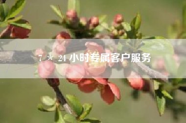 7 ＊ 24 小时专属客户服务