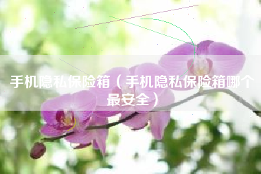 手机隐私保险箱（手机隐私保险箱哪个最安全）
