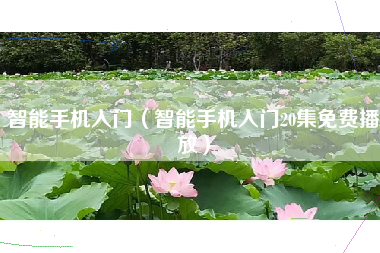 智能手机入门（智能手机入门20集免费播放）