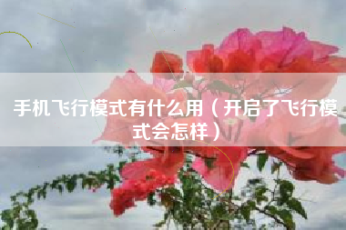 手机飞行模式有什么用（开启了飞行模式会怎样）