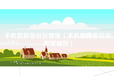 手机数据备份在哪里（手机数据备份在哪里最好）