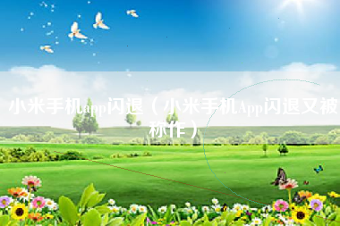 小米手机app闪退（小米手机App闪退又被称作）