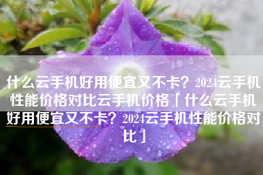 什么云手机好用便宜又不卡？2024云手机性能价格对比云手机价格「什么云手机好用便宜又不卡？2024云手机性能价格对比」