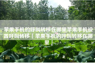 苹果手机的呼叫转移在哪里苹果手机设置呼叫转移「苹果手机的呼叫转移在哪里」