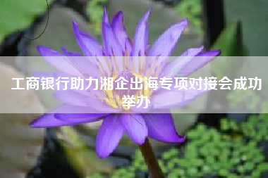 工商银行助力湘企出海专项对接会成功举办