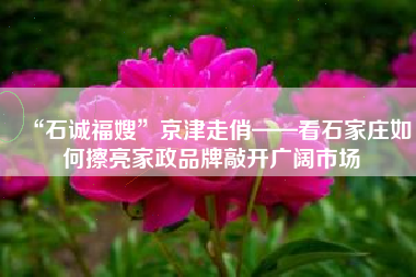 “石诚福嫂”京津走俏——看石家庄如何擦亮家政品牌敲开广阔市场