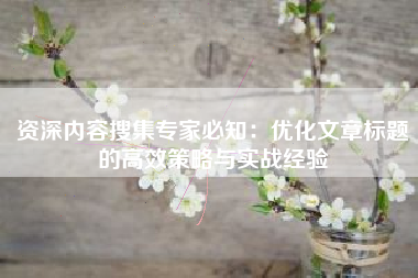 资深内容搜集专家必知：优化文章标题的高效策略与实战经验